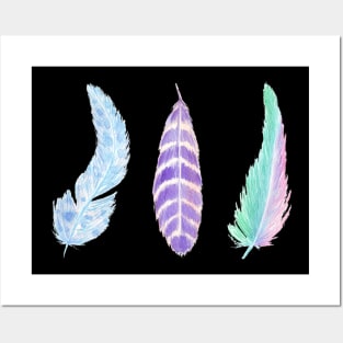 Watercolor feathers pack - set of 3 colorful featrhers Posters and Art